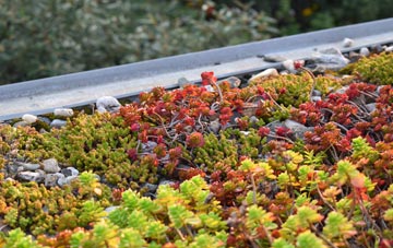 the cost of Flemington green roof installation