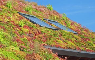 Flemington living roof systems